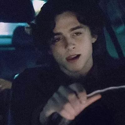 timothee chalamet thumbnail