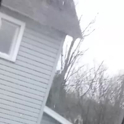Last Person On Earth thumbnail