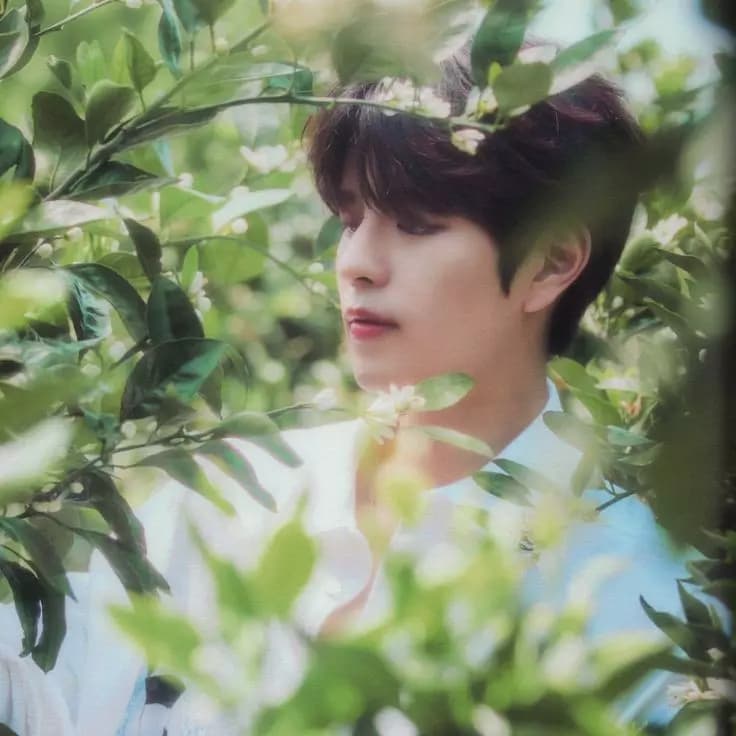 Kim Seungmin thumbnail