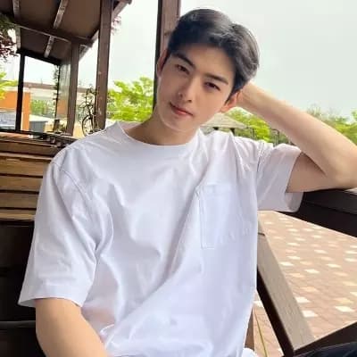 cha eun woo  thumbnail