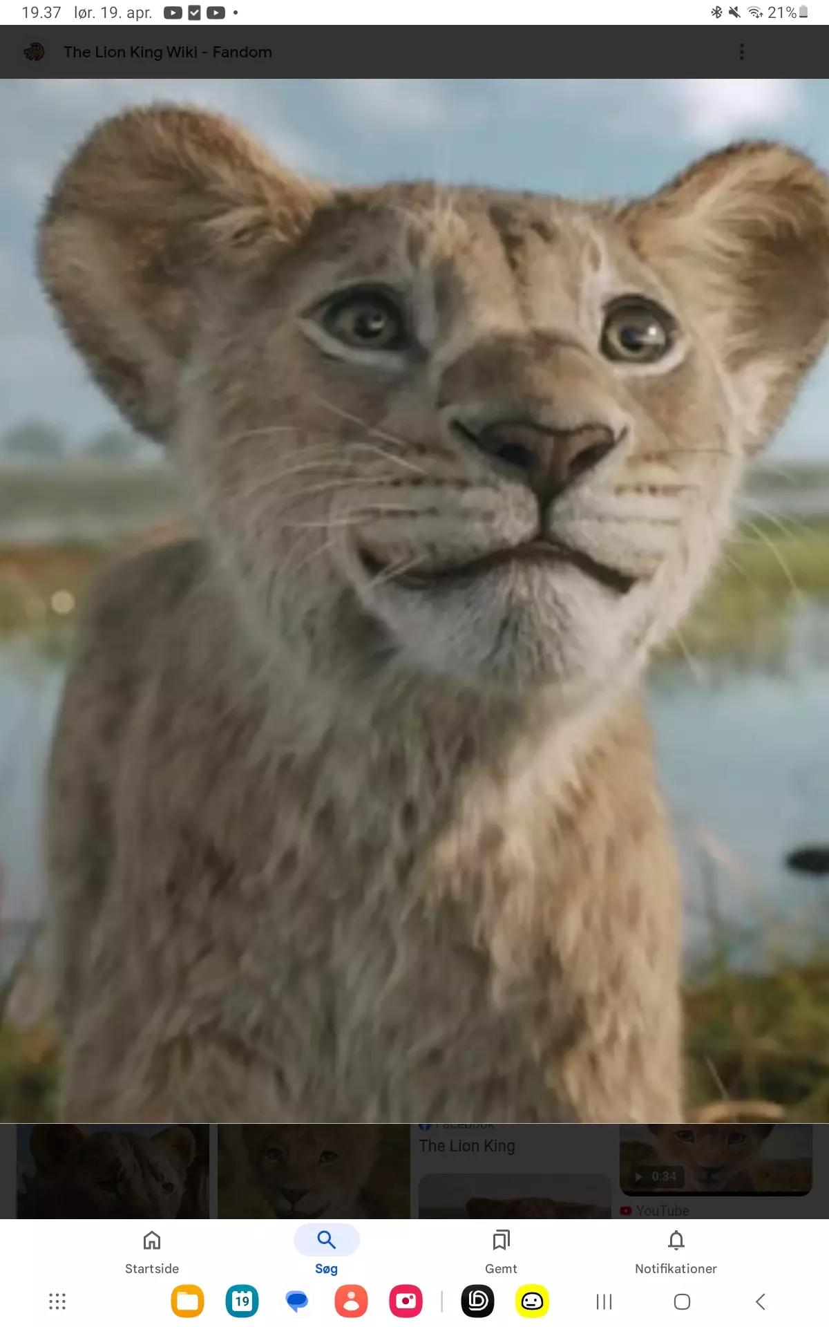 Taka (Mufasa. Cub) thumbnail