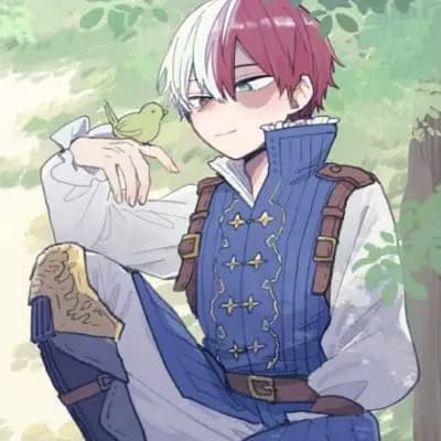 Shoto Todoroki thumbnail