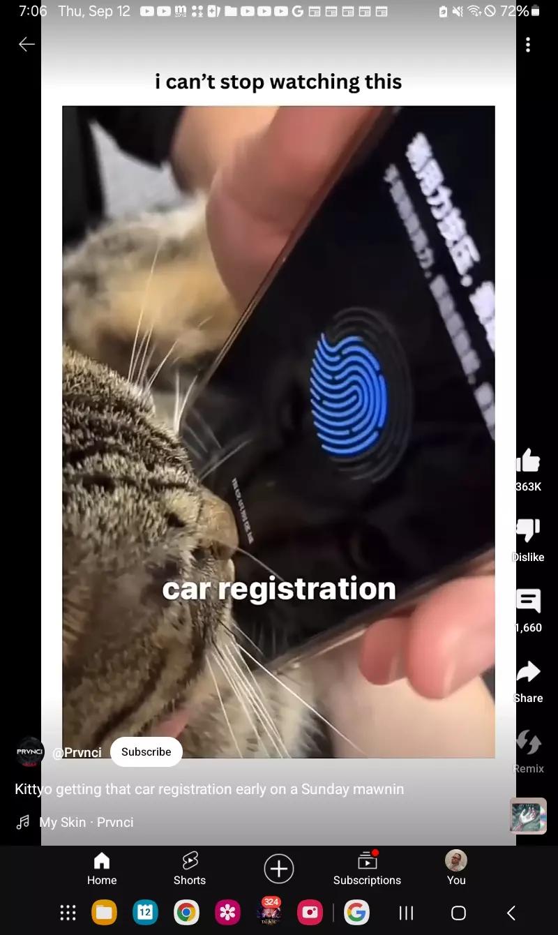 Car registration  thumbnail