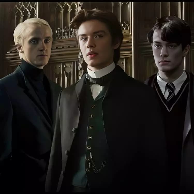 Tom Riddle ( Slytherin Boys) thumbnail
