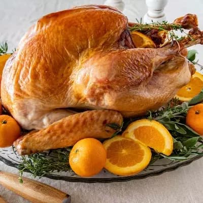 Bartholomew the turkey  thumbnail