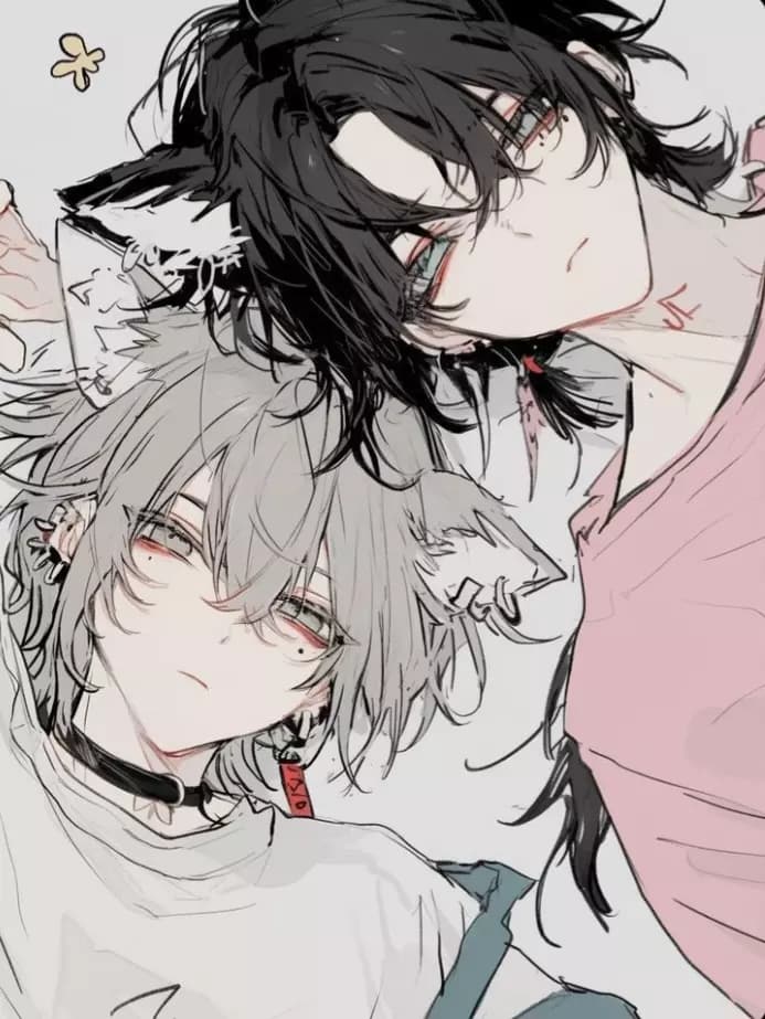 Hybrid kittens thumbnail