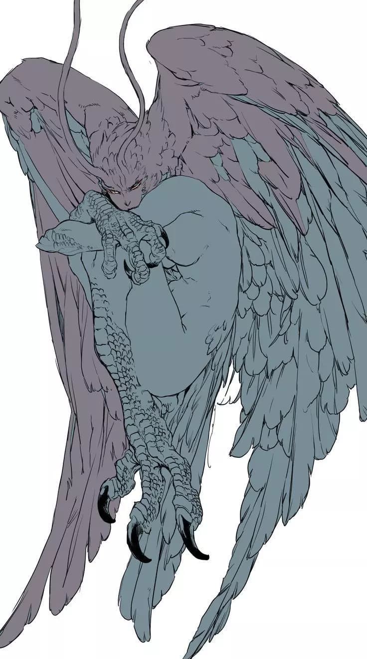 Wild Harpy  thumbnail