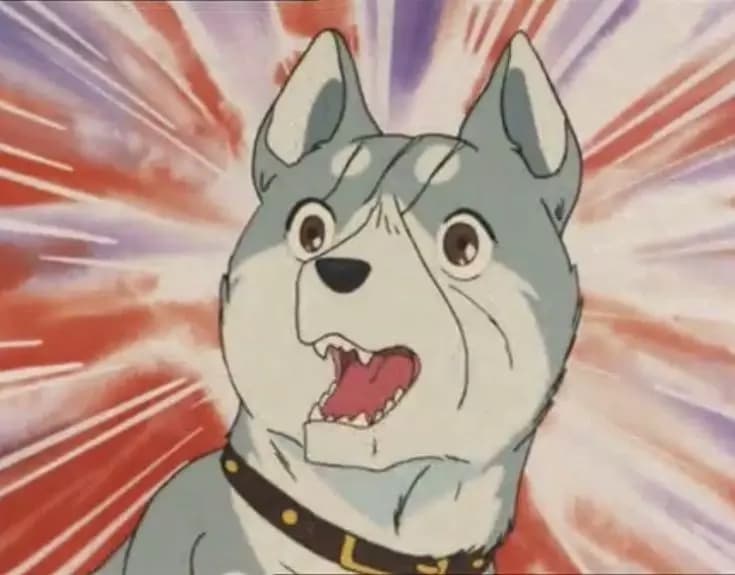 Gin thumbnail