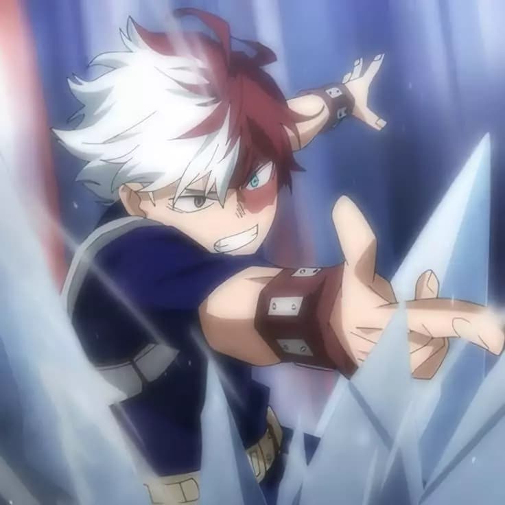 Shoto Todoroki thumbnail