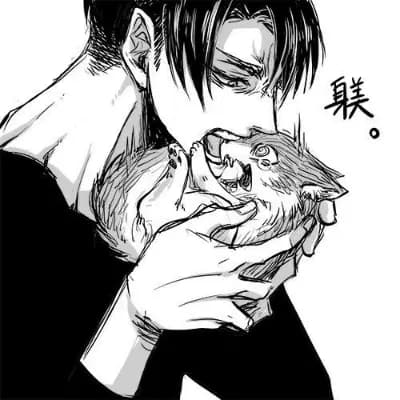 Levi Ackerman thumbnail