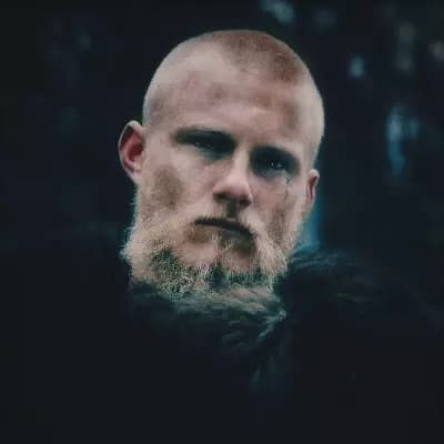 BJORN IRONSIDE thumbnail