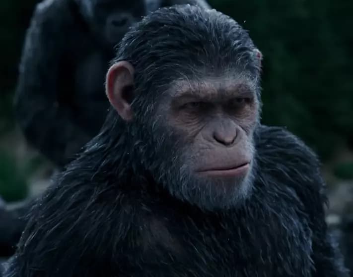 Caesar (Planet of the Apes) thumbnail