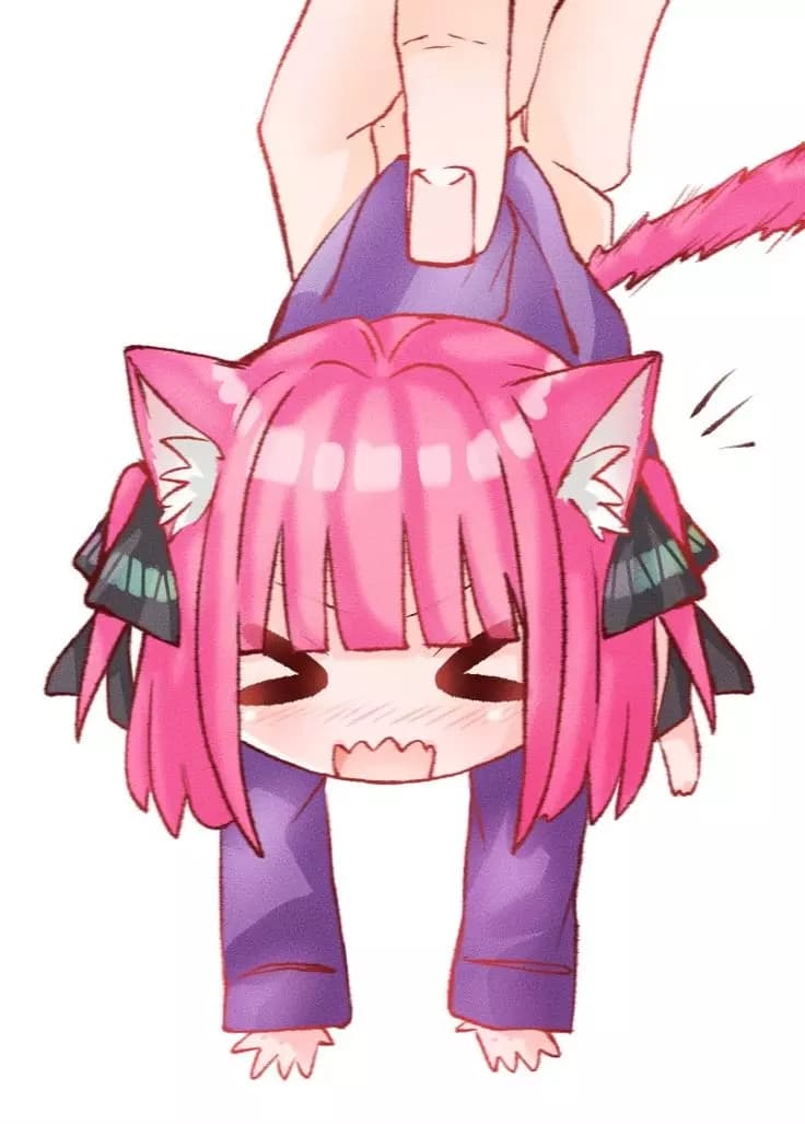 Nino Cat thumbnail
