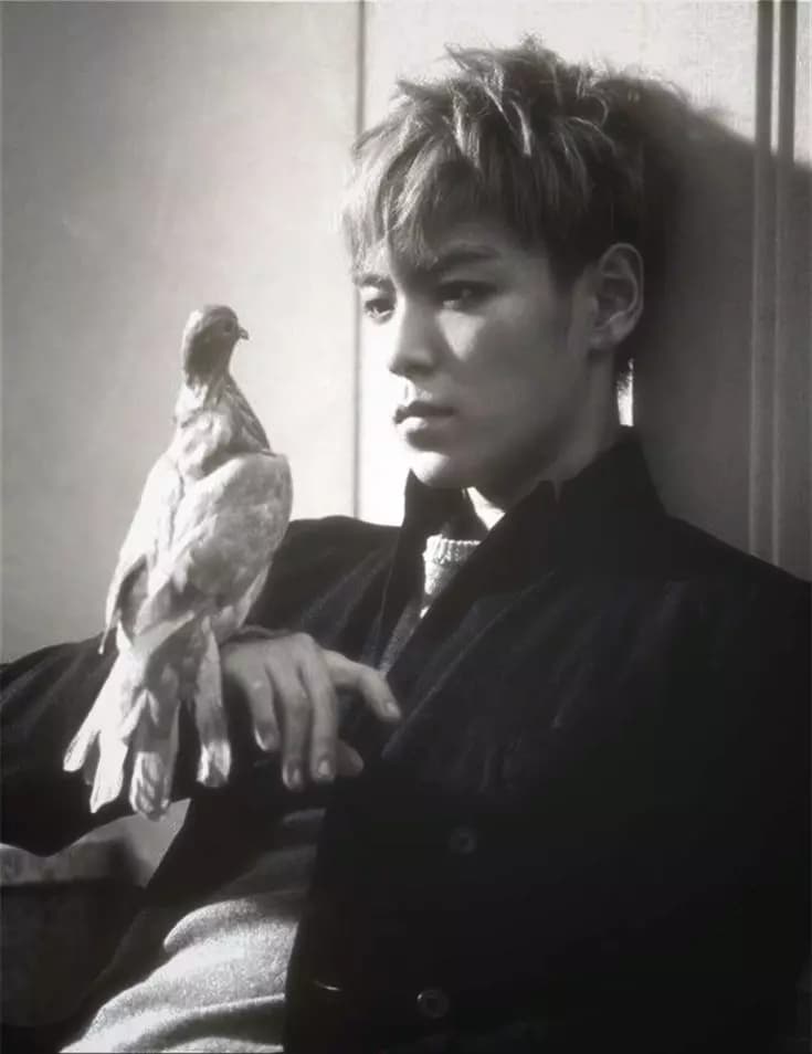 Choi seung hyun thumbnail