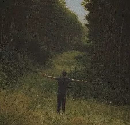 Forest Dweller/Nathaniel Moore thumbnail