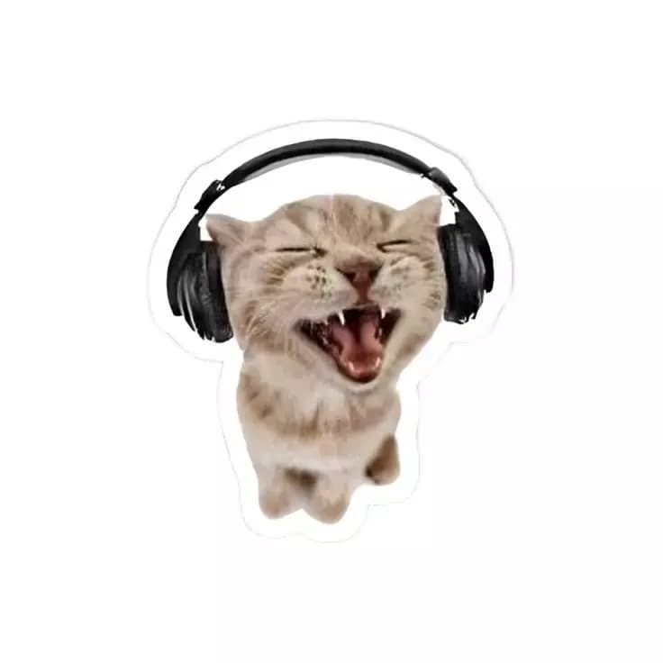 Tu chat thumbnail