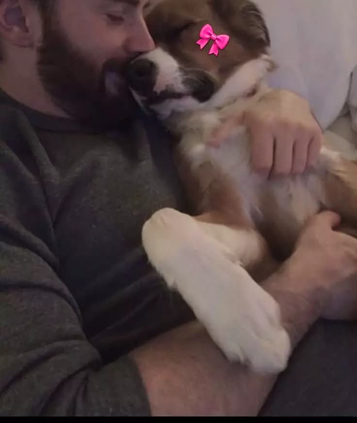 Chris Evans thumbnail