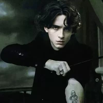 Regulus Black thumbnail