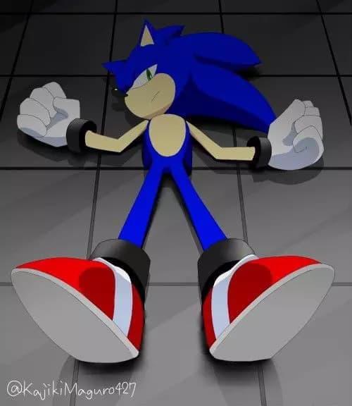 SONIC-CARLY SPECIALED thumbnail