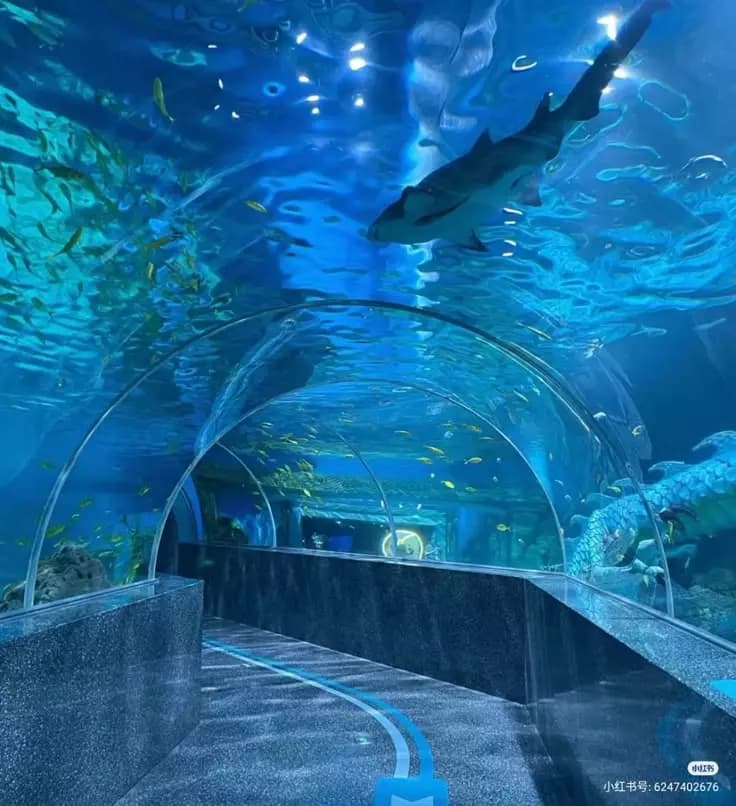 🫧" ◆ 🌊" {Leviathans Aquarium} "🪼 ◆ "🫧 thumbnail