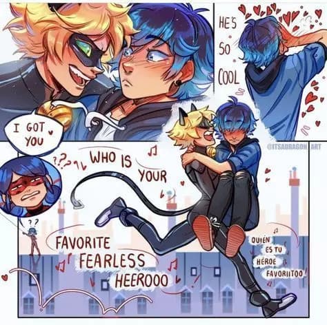 Cat noir thumbnail
