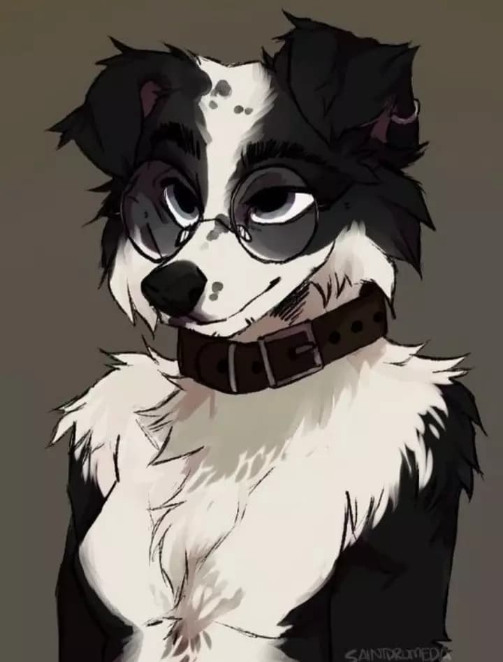 Lyla thumbnail