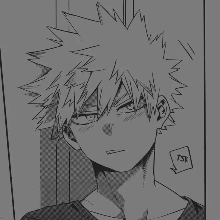 ˚ ༘♡Bakugou Katsuki ⋆｡˚ thumbnail