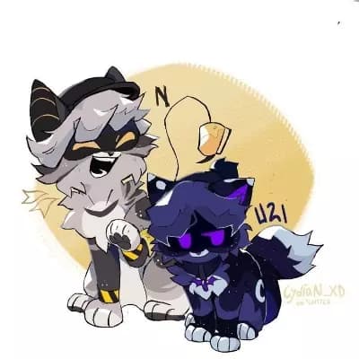 MD gatos! thumbnail