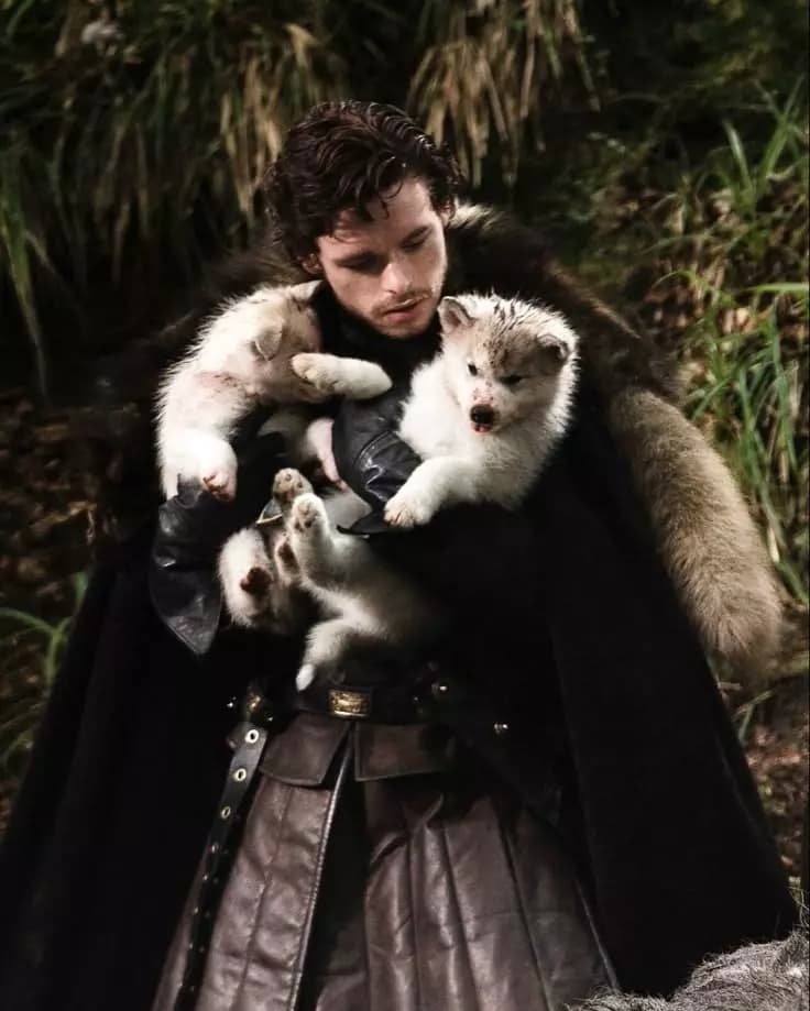 Robb Stark thumbnail