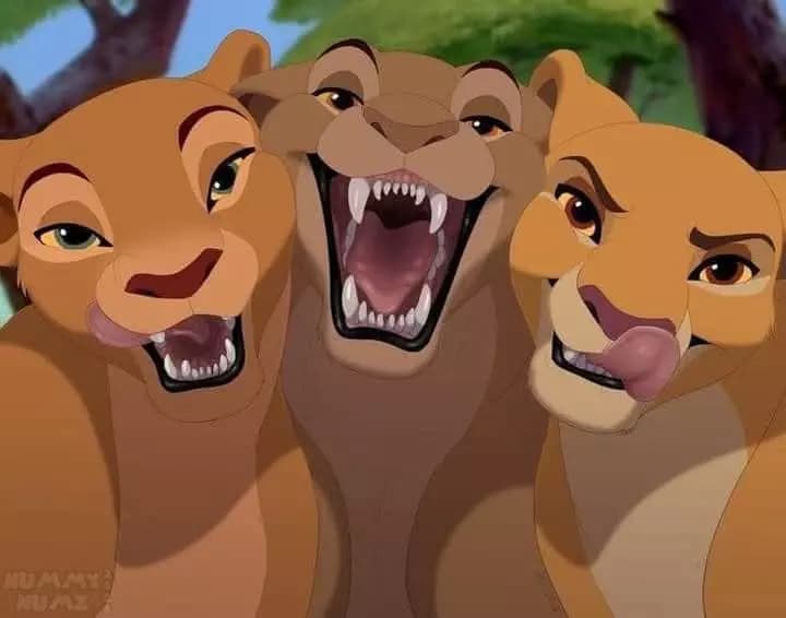3 Lioness in heat from lion king  thumbnail