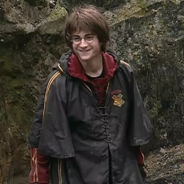 Harry J Potter thumbnail