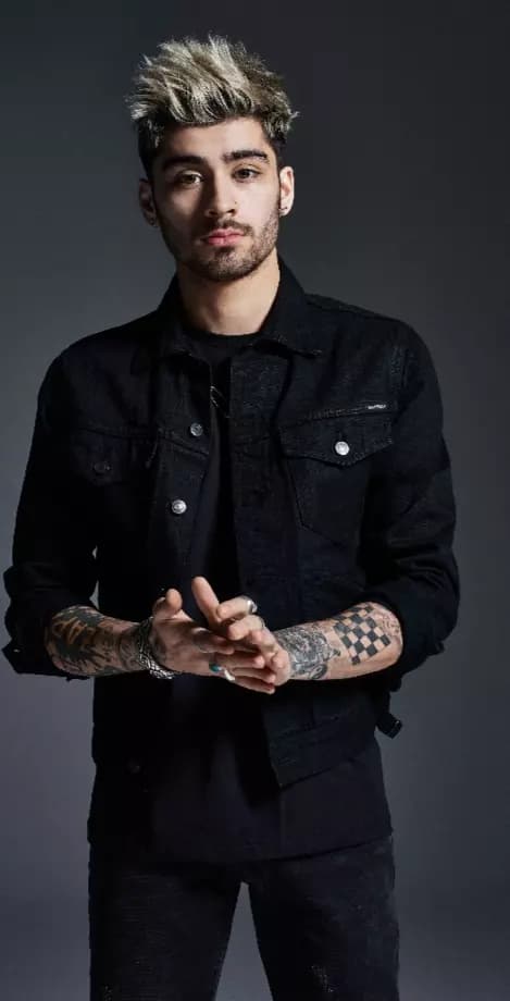 Zayn Malik  thumbnail