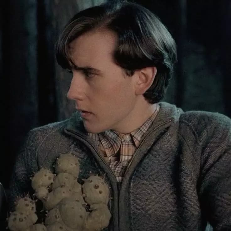 Neville Longbottom thumbnail