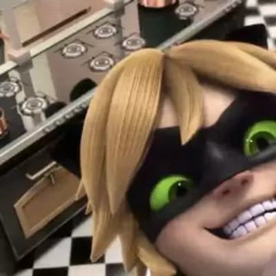 Adrien Agreste (Cat Noir) thumbnail