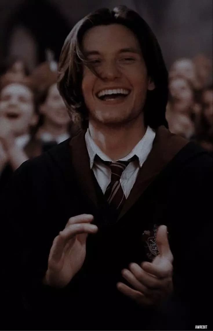 ❤️/Sirius black  thumbnail