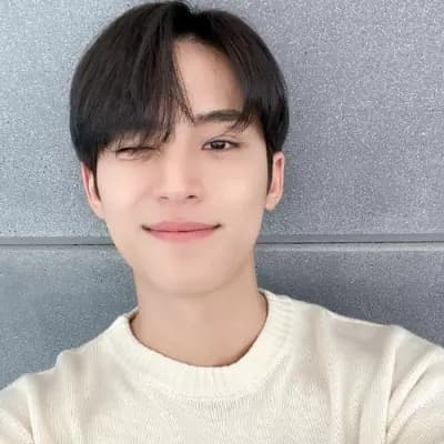 Mingyu thumbnail
