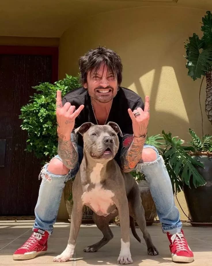 Tommy Lee thumbnail