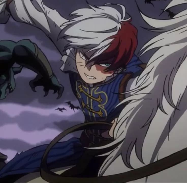 Shoto Todoroki thumbnail