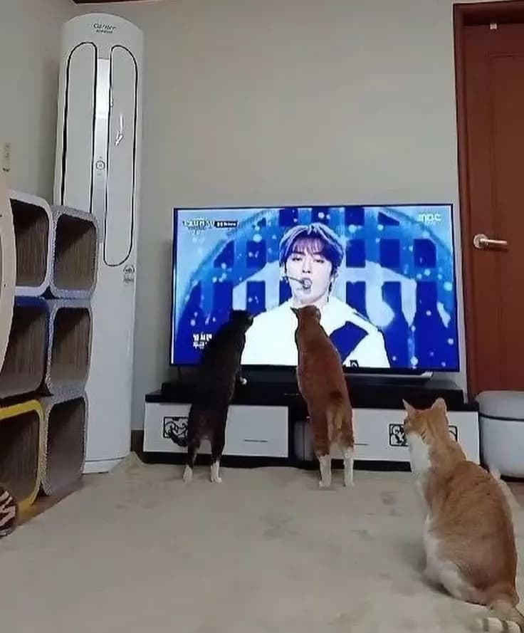 Minho & amp;. Jisung thumbnail