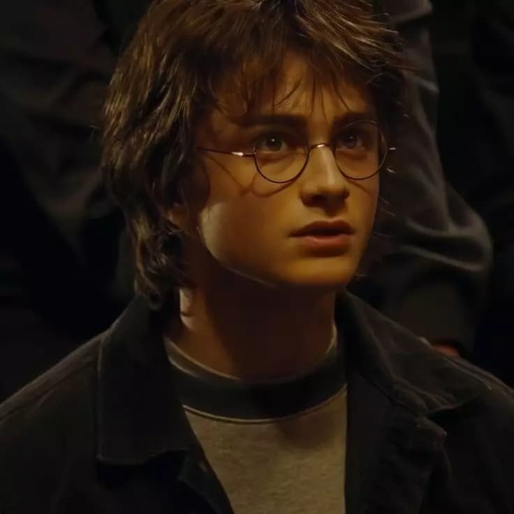Harry J Potter.  thumbnail