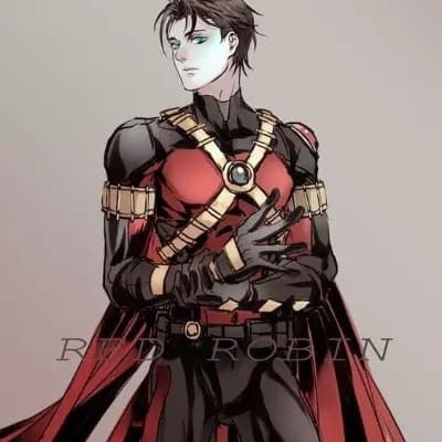Timothy 'Tim' Drake (Red Robin) 🦇🖤💛 thumbnail
