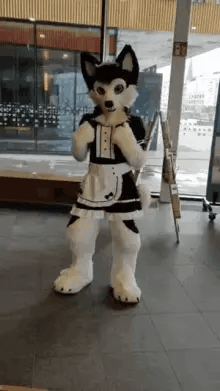 Sabashtion[gay furry maid] thumbnail