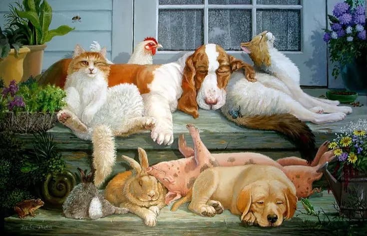 Your Magical Pet Store. thumbnail