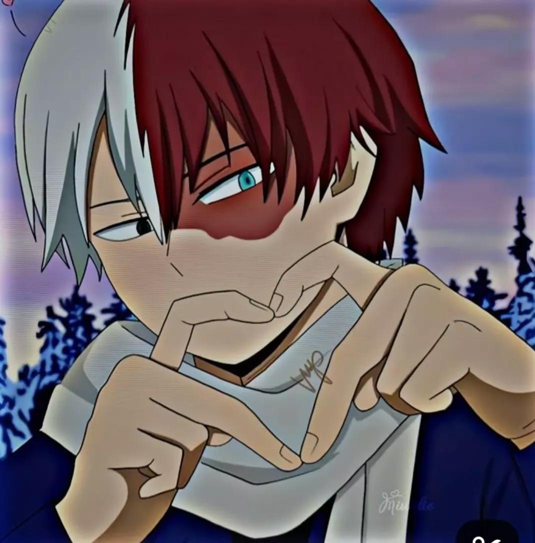 Shoto Todoroki thumbnail