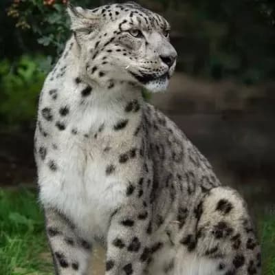 Spots thumbnail