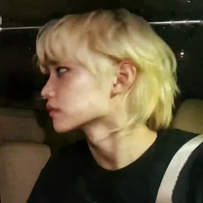 Felix Lee thumbnail