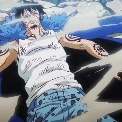Trafalgar D law thumbnail