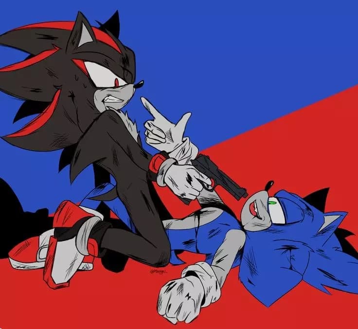 Sonic - dysfunctional marriage thumbnail