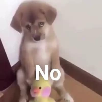 Aphk dog thumbnail