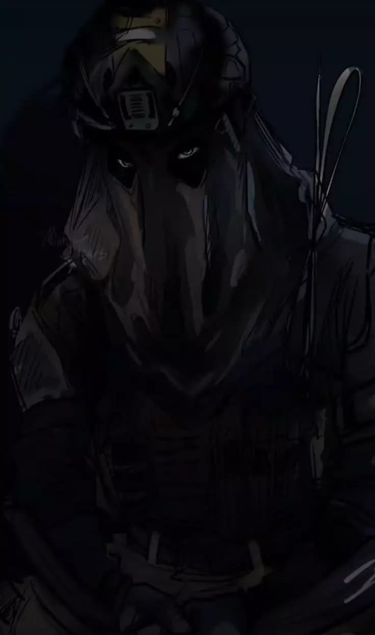 könig - husband thumbnail